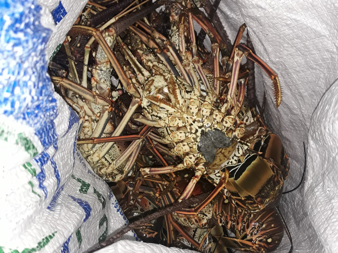 Baignoire De Joséphine Coteauvent.fr-Le Francois必去景点