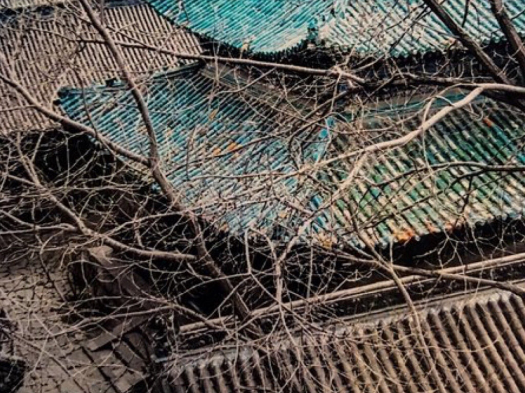 五台山生态园主图