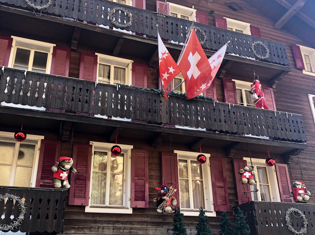 Hotel des Alpes主图