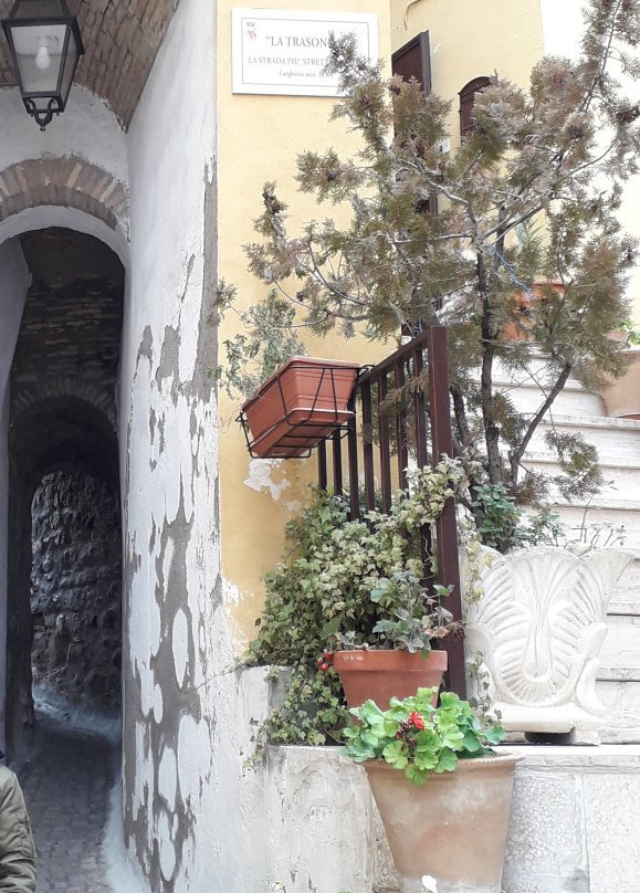 Chiesa della Purificazione della Beata Vergine Maria-Candela必去景点