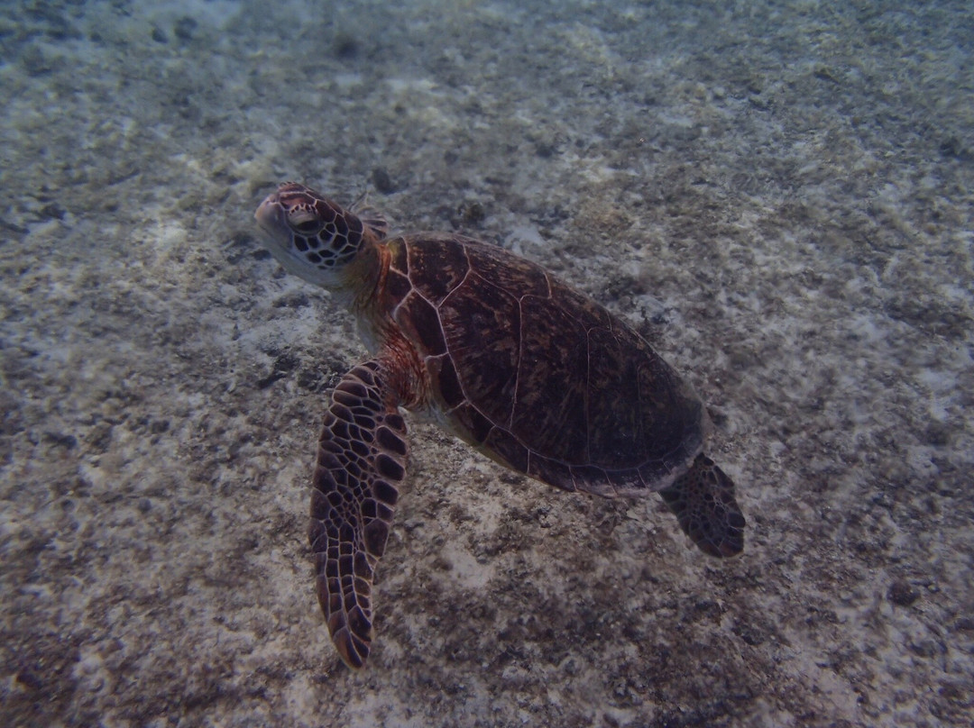 Aqua Base-Miyako-jima必去景点