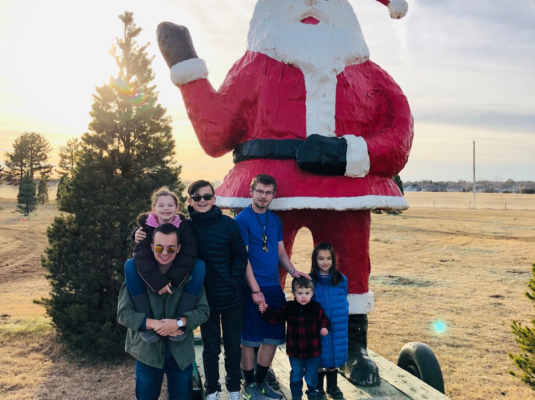 BEL Tree Farm-萨利纳必去景点