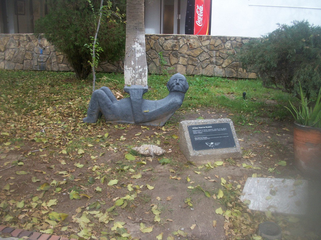 Parque Público Federal El Chamizal景点图片