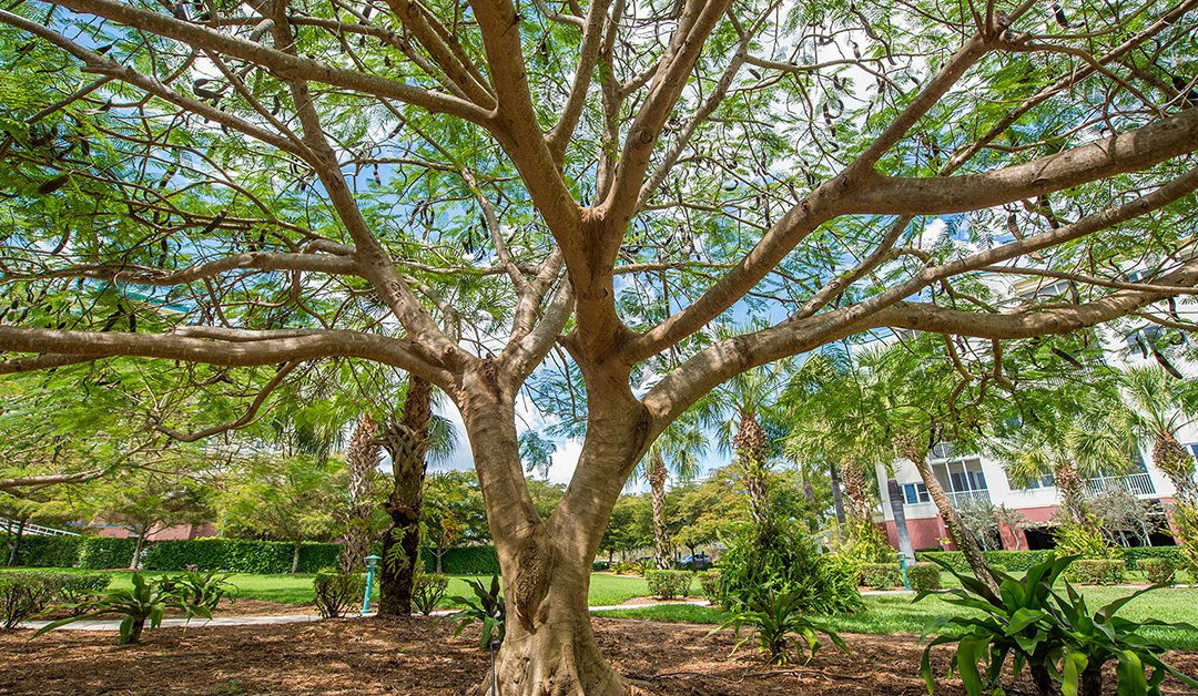 Guest House at Shell Point主图
