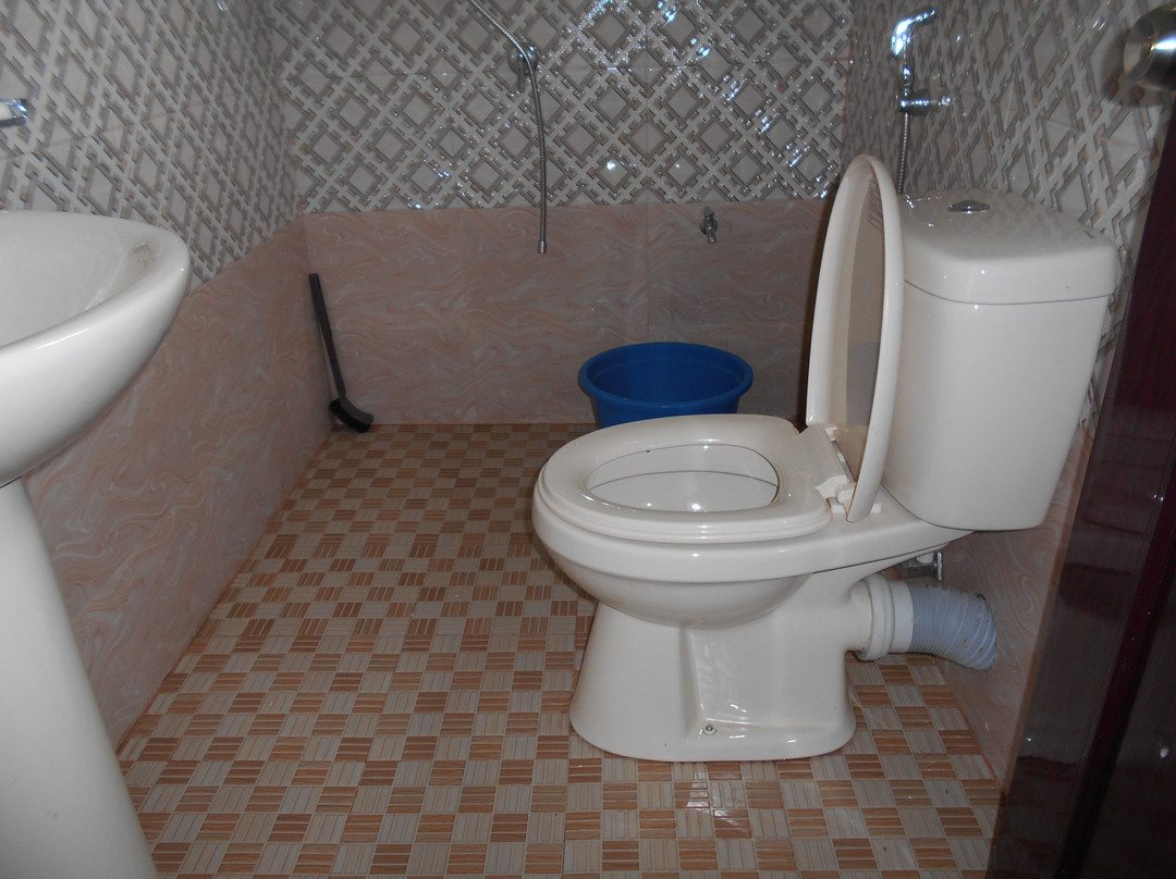 Sushi Guesthouse主图