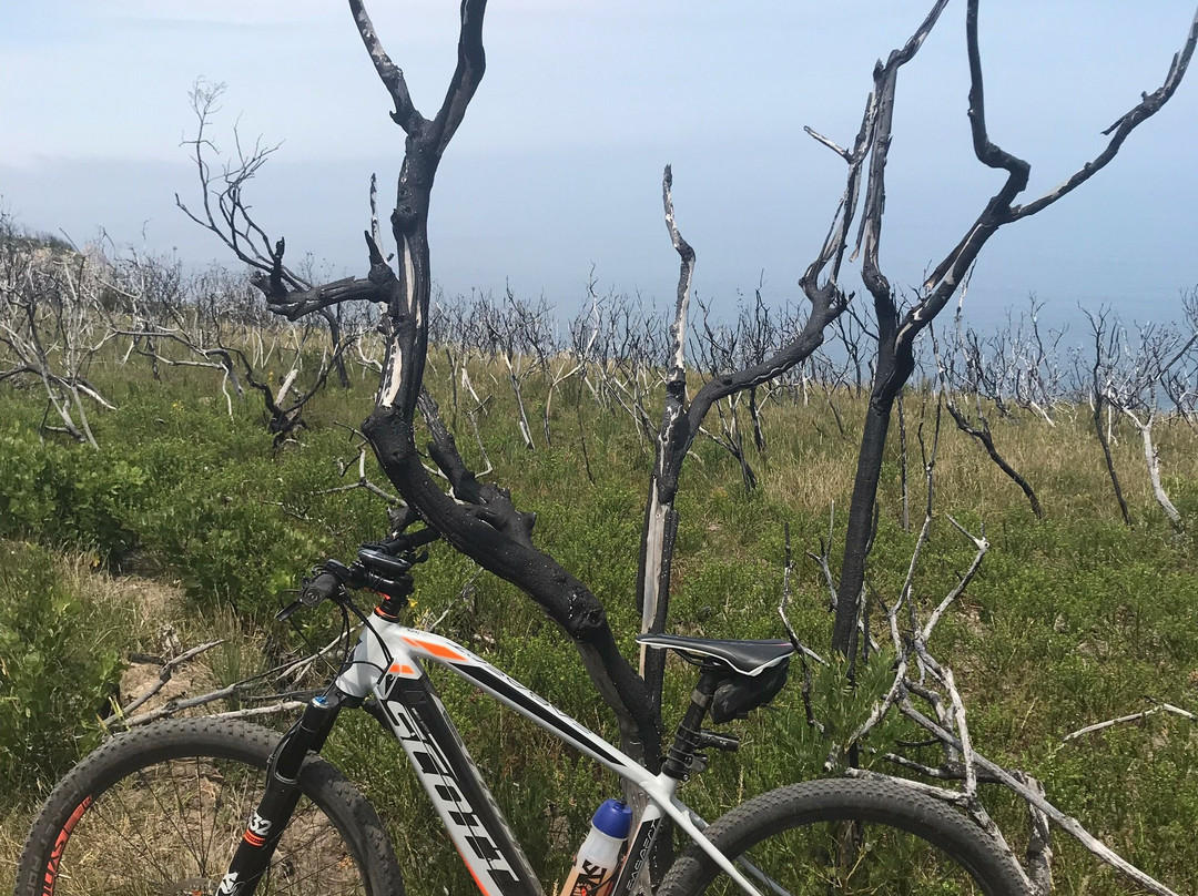 Harkerville Mountain Bike Trails-哈克城必去景点
