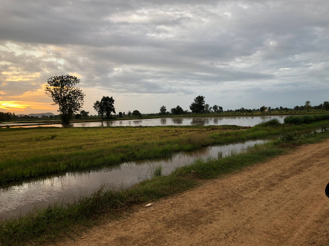 Pao Tuk Tuk Experience Battambang-马德望必去景点