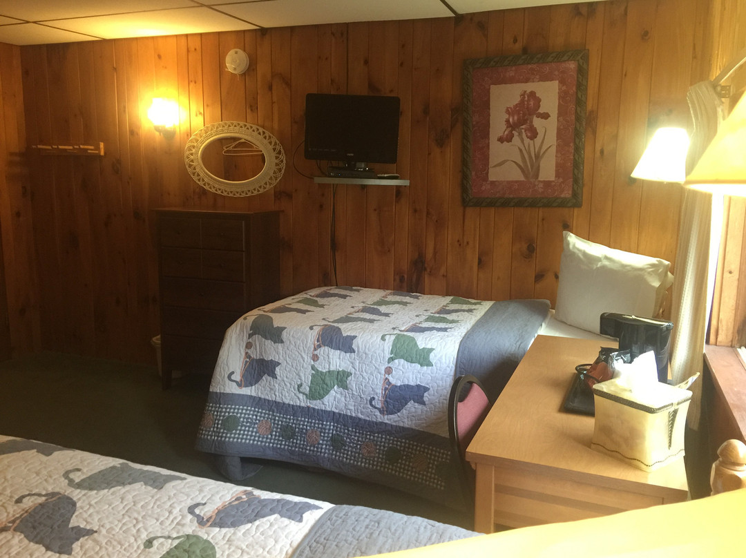 神奇景观汽车旅馆主图