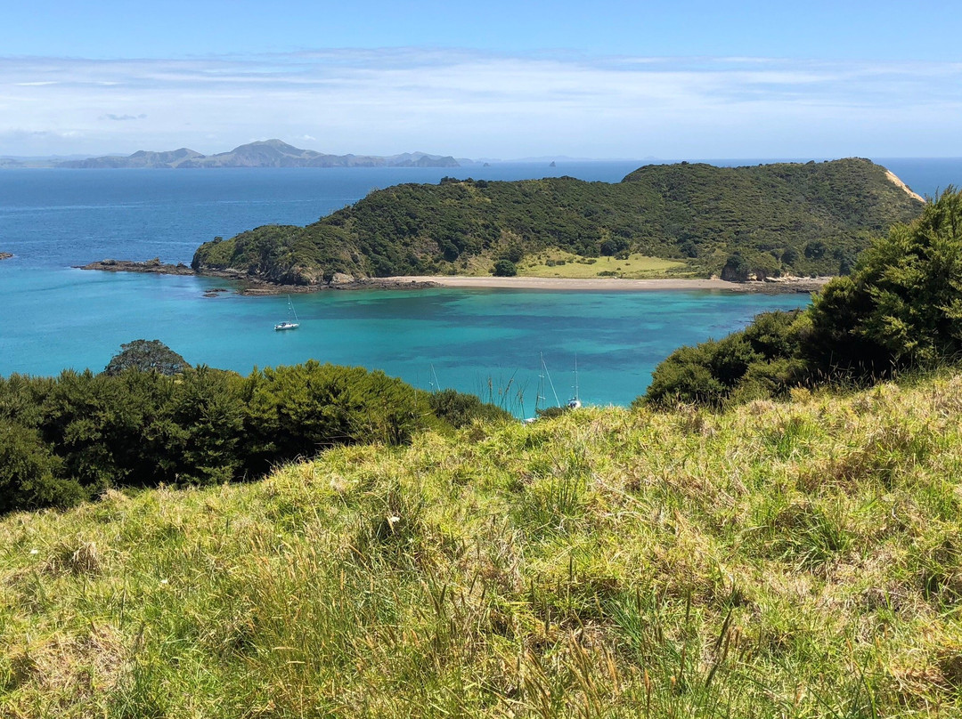 Bay of Islands Sailing/Gungha II景点图片