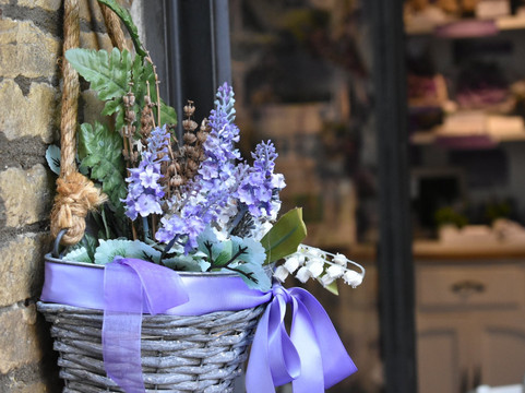 Lavanda del Lago-奥尔维耶托必去景点