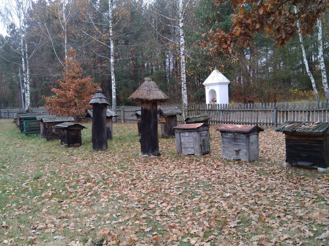 Museum of Podlaskie Region's Folk Culture-Wasilkow必去景点