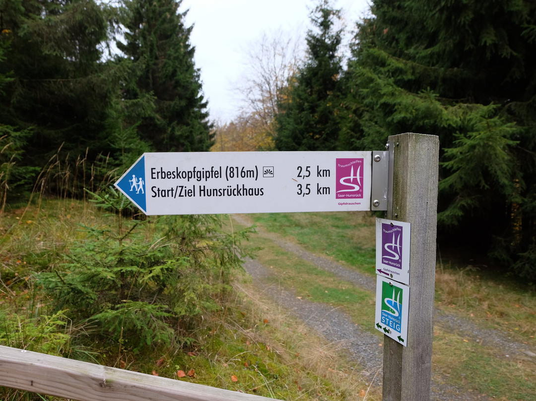 Erbeskopf Skigebiet-Thalfang必去景点