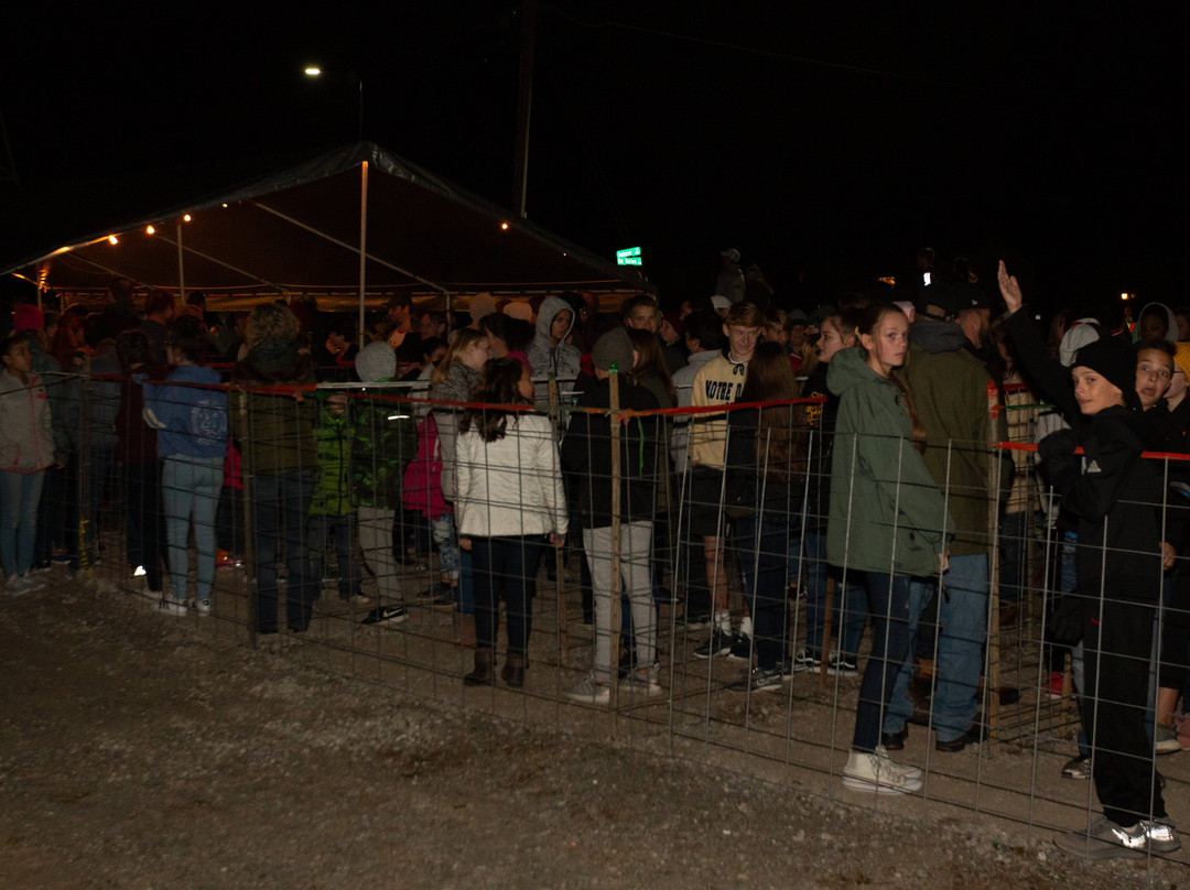 The Haunted Castle and Black Forest-韦恩堡必去景点