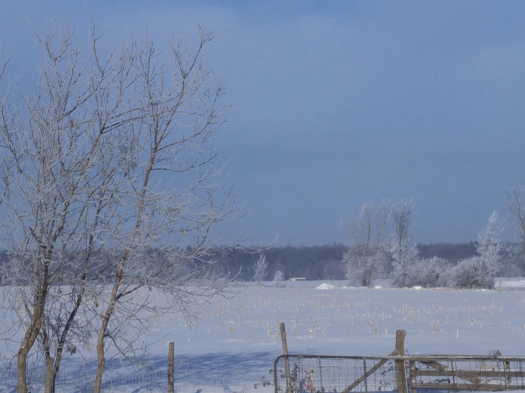 Chez Chantale et Jacques主图