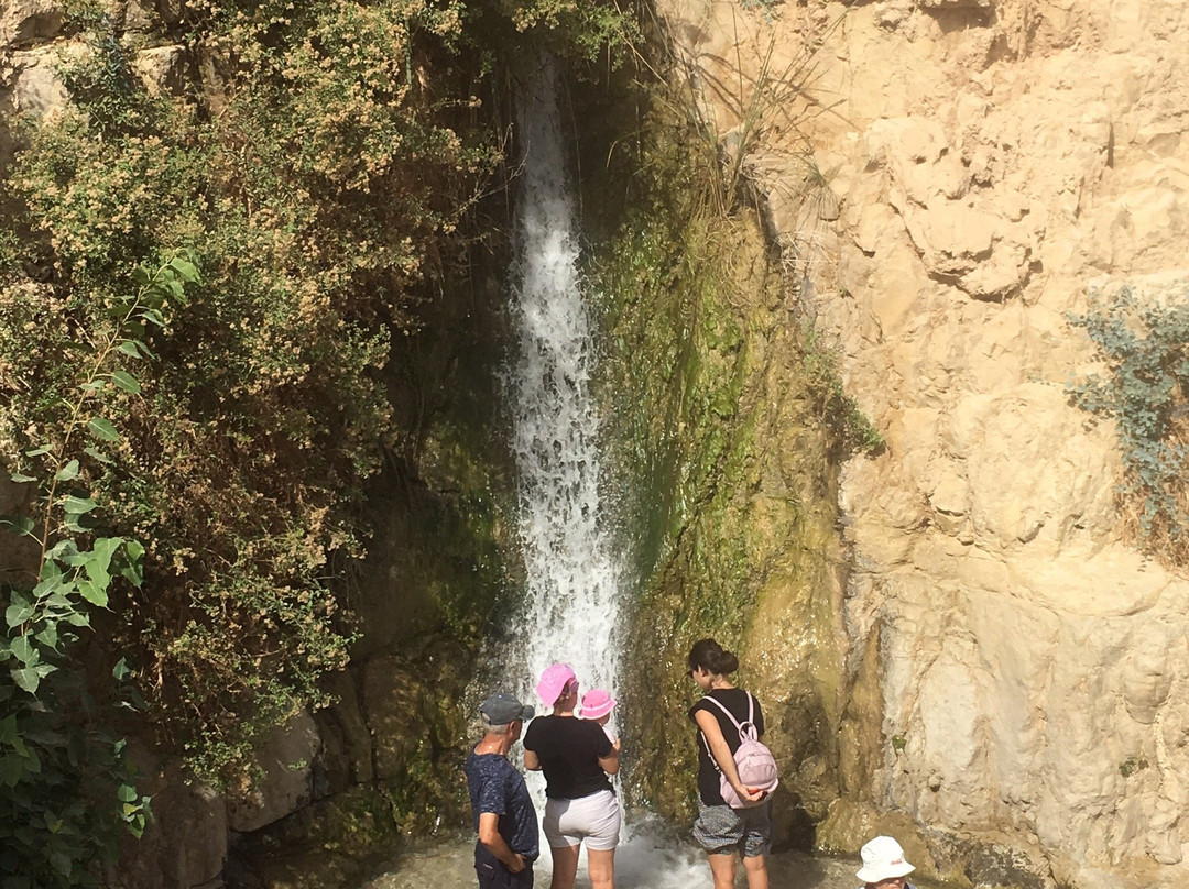 Ein Gedi Eco Park景点图片