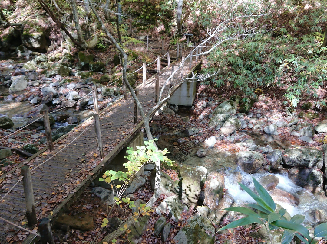 Adatara Valley Okudake Natural Trail景点图片