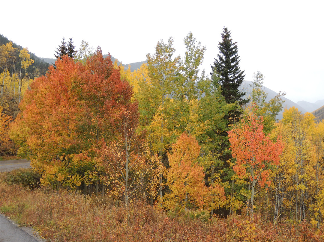 Castle Creek Road-阿斯蓬必去景点