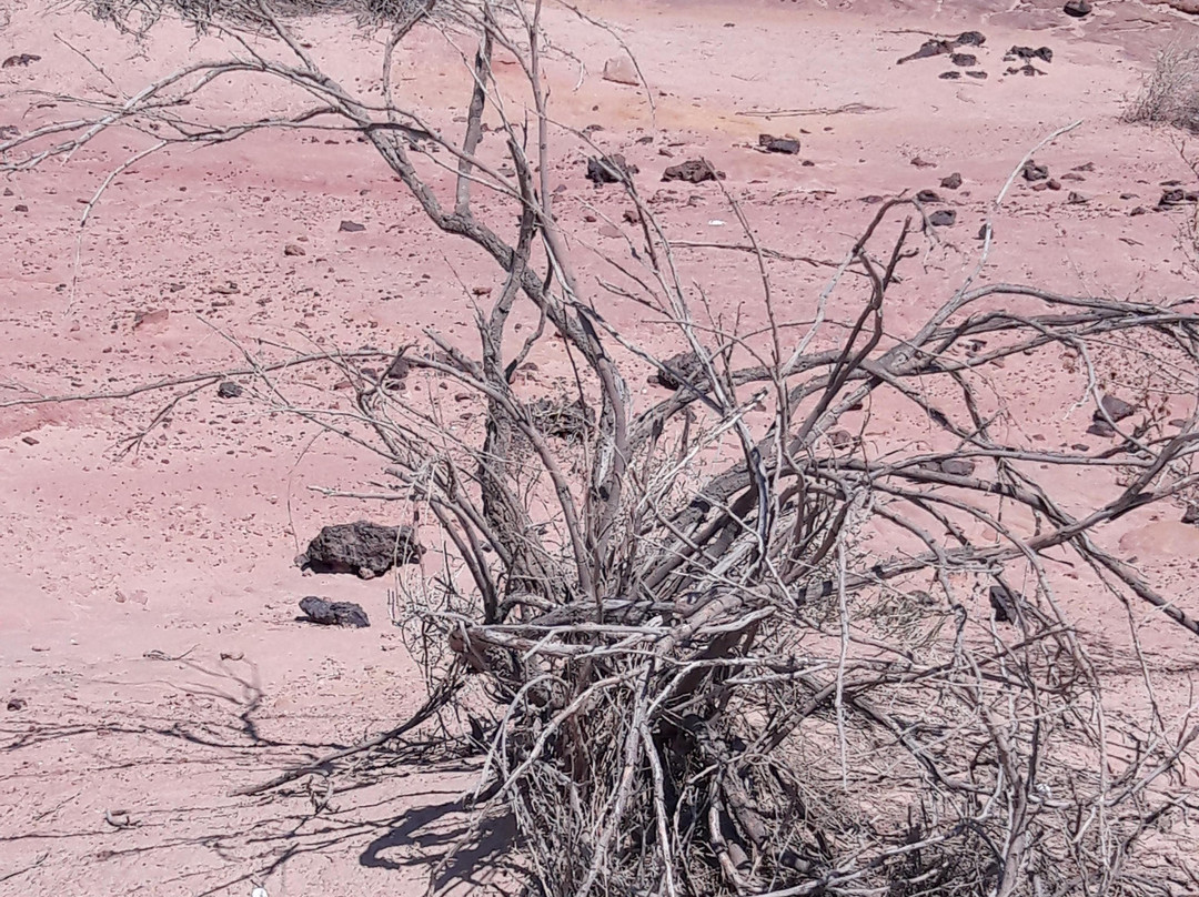 Colorful Sands Park-Yeruham必去景点