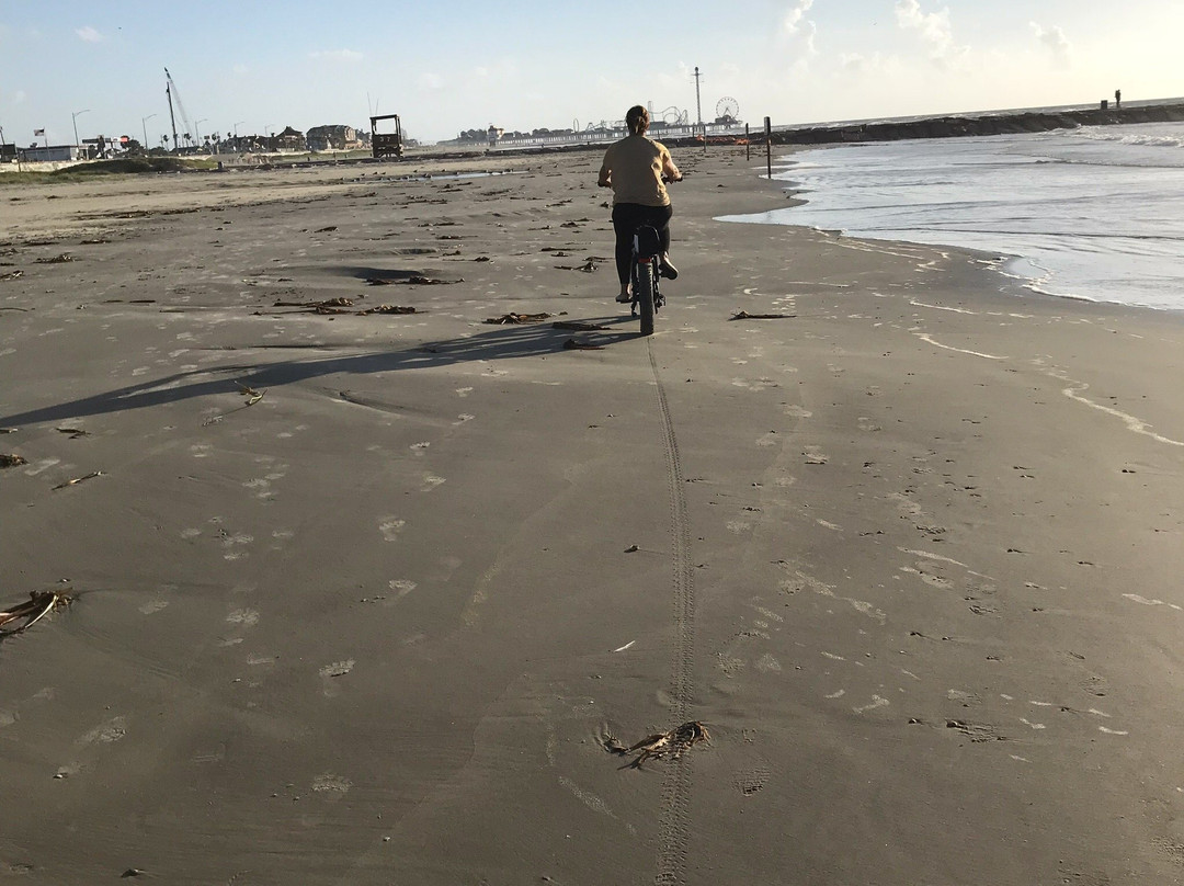 Zipp E-Bikes-盖维斯顿必去景点