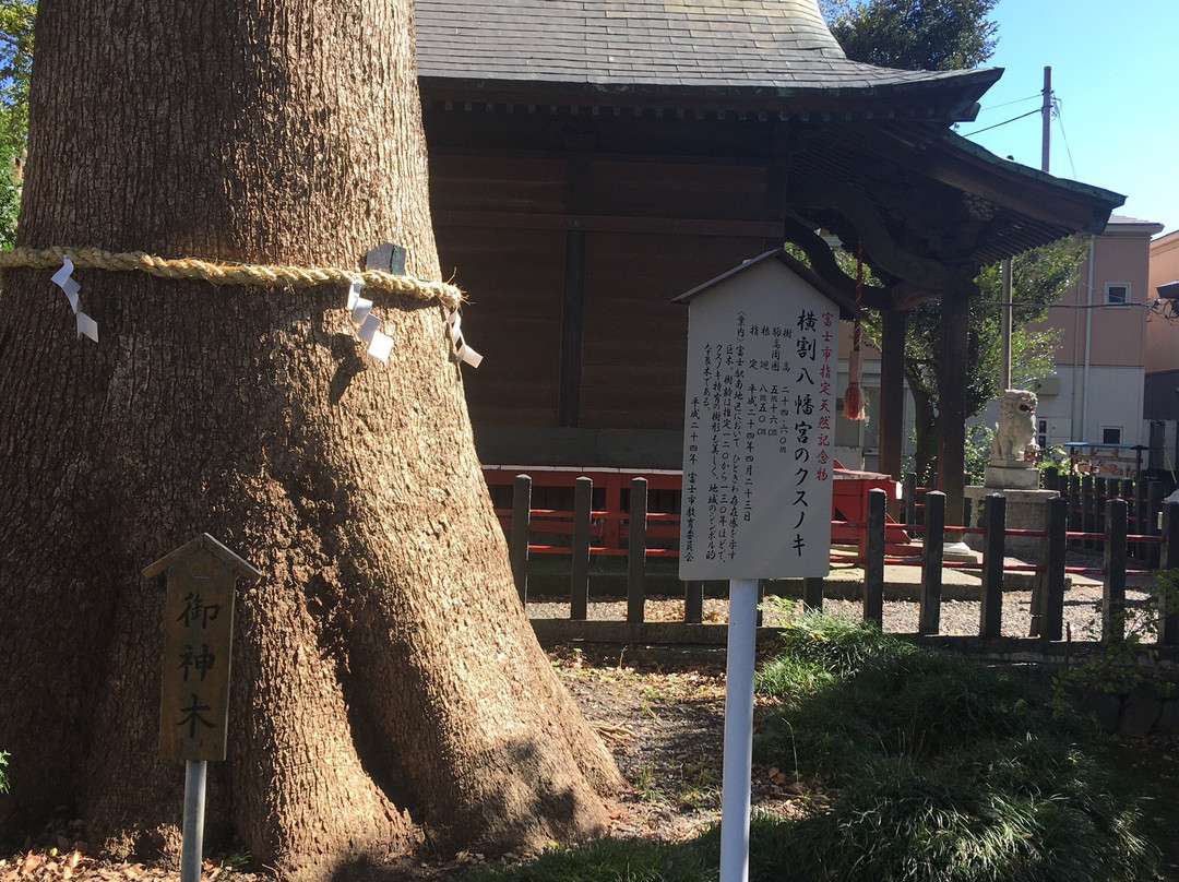 Hachimangu Shrine-富士市必去景点