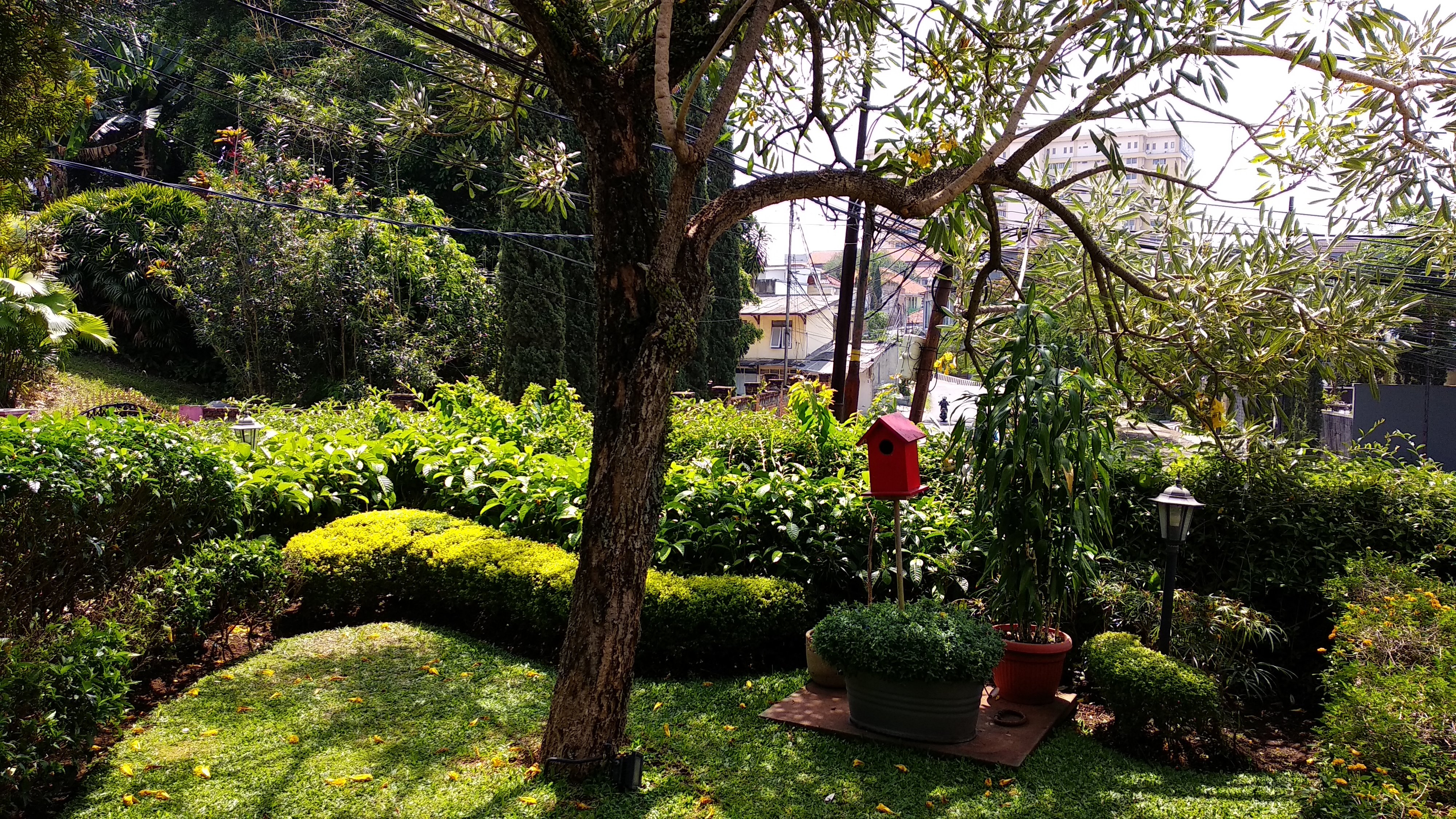 Cottonwood Bed & Breakfast-浴室