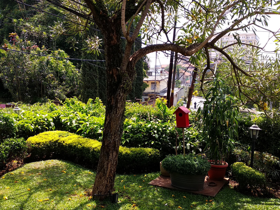 Cottonwood Bed & Breakfast主图