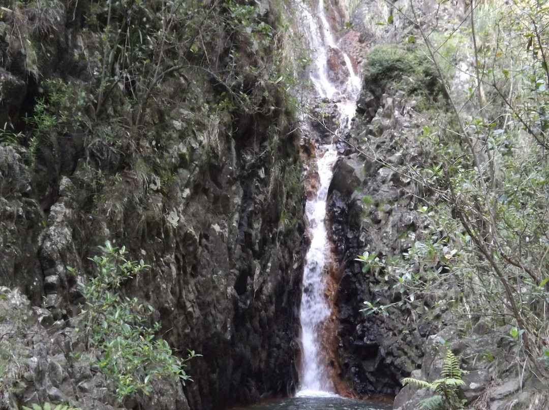 Pauanui Waterfall景点图片