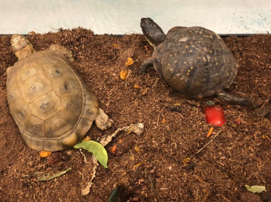 Jesse H. Jones Park and Nature Reserve-汉布尔必去景点