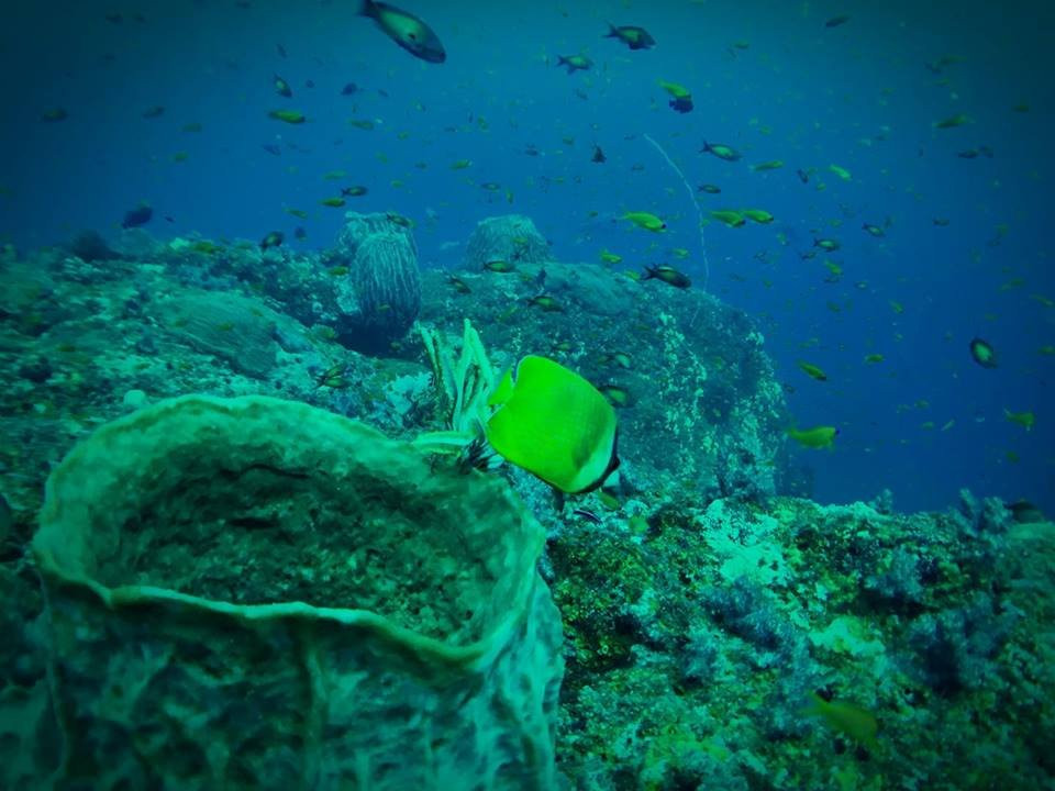 Andaman Discover Private Limited景点图片