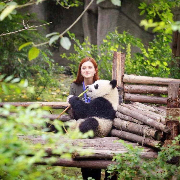 Local Chengdu Tours-成都必去景点