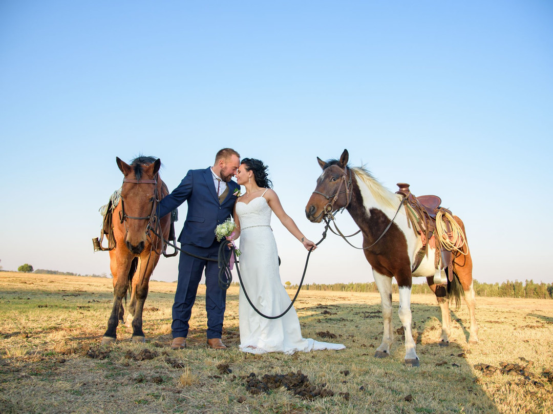 Diamond X Cowboy Ranch-Rayton必去景点