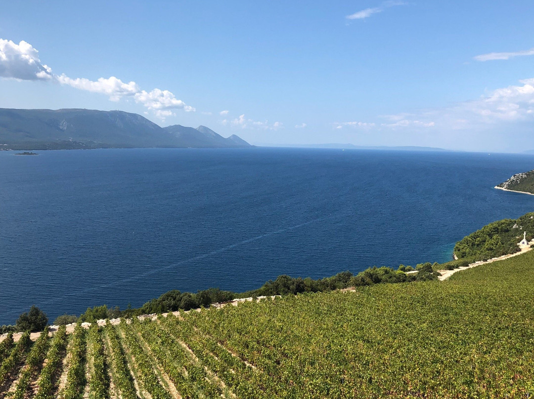 Terra Madre Winery景点图片