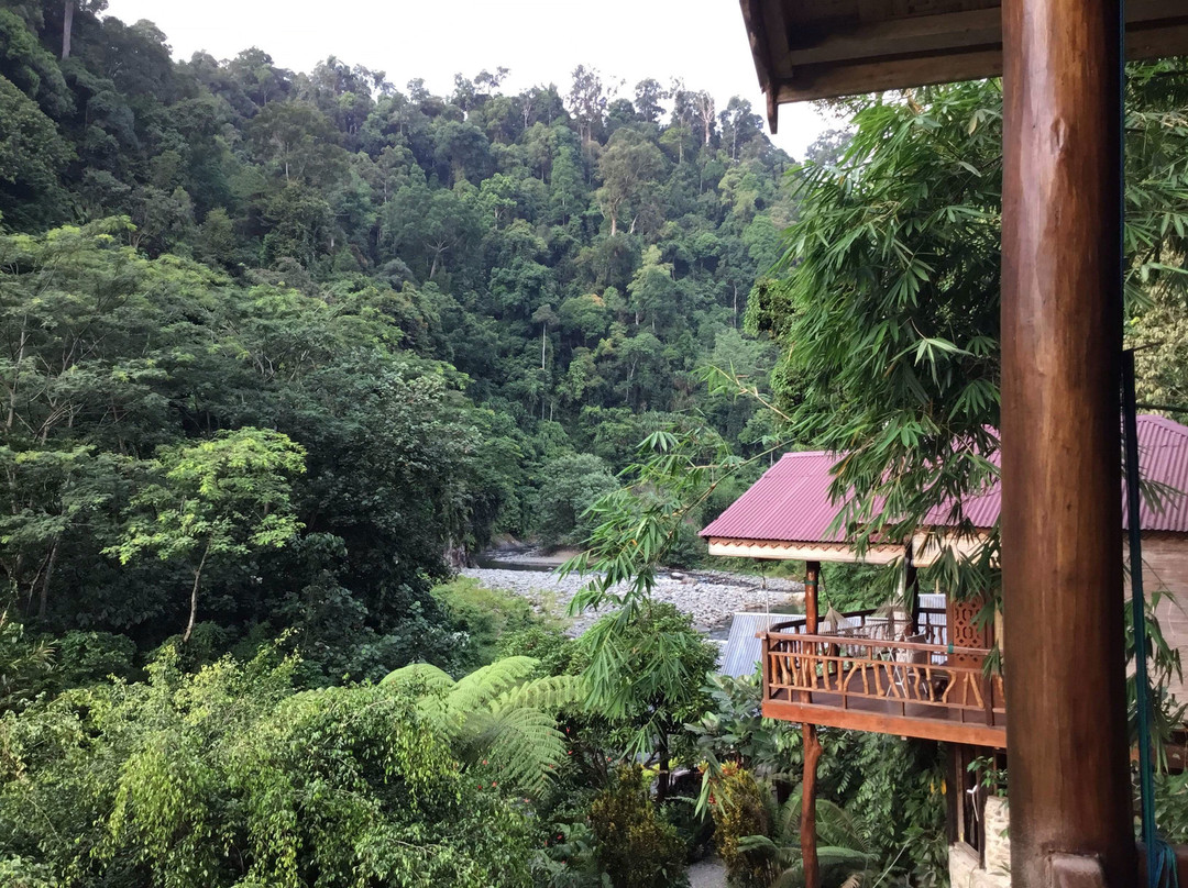 Kupu Kupu Garden Guest House & Cafe