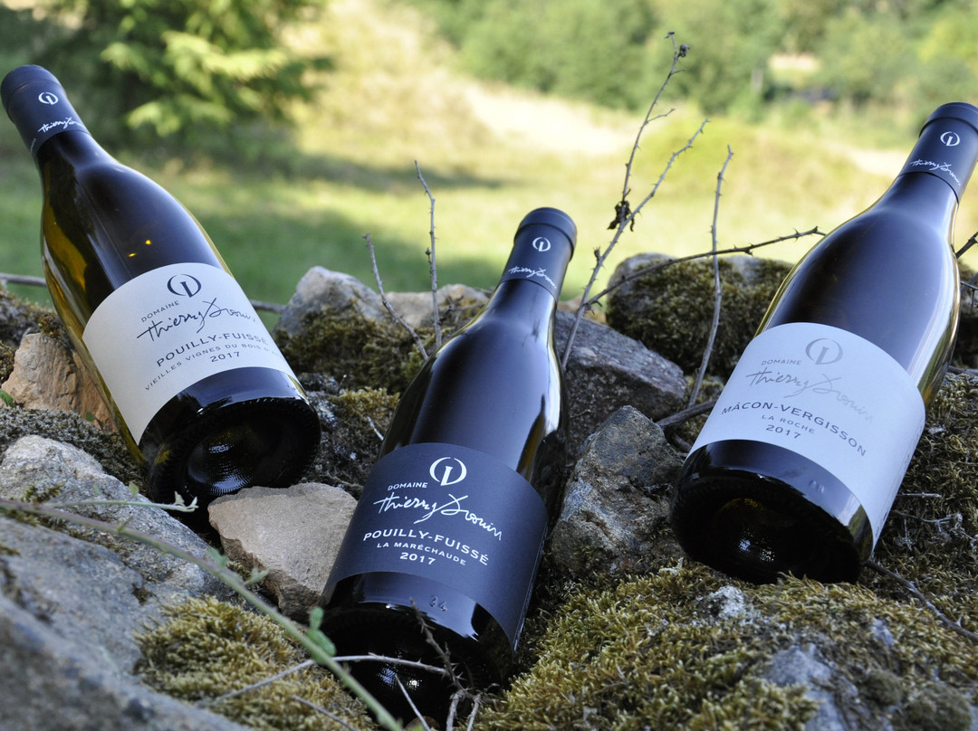 Domaine Thierry Drouin