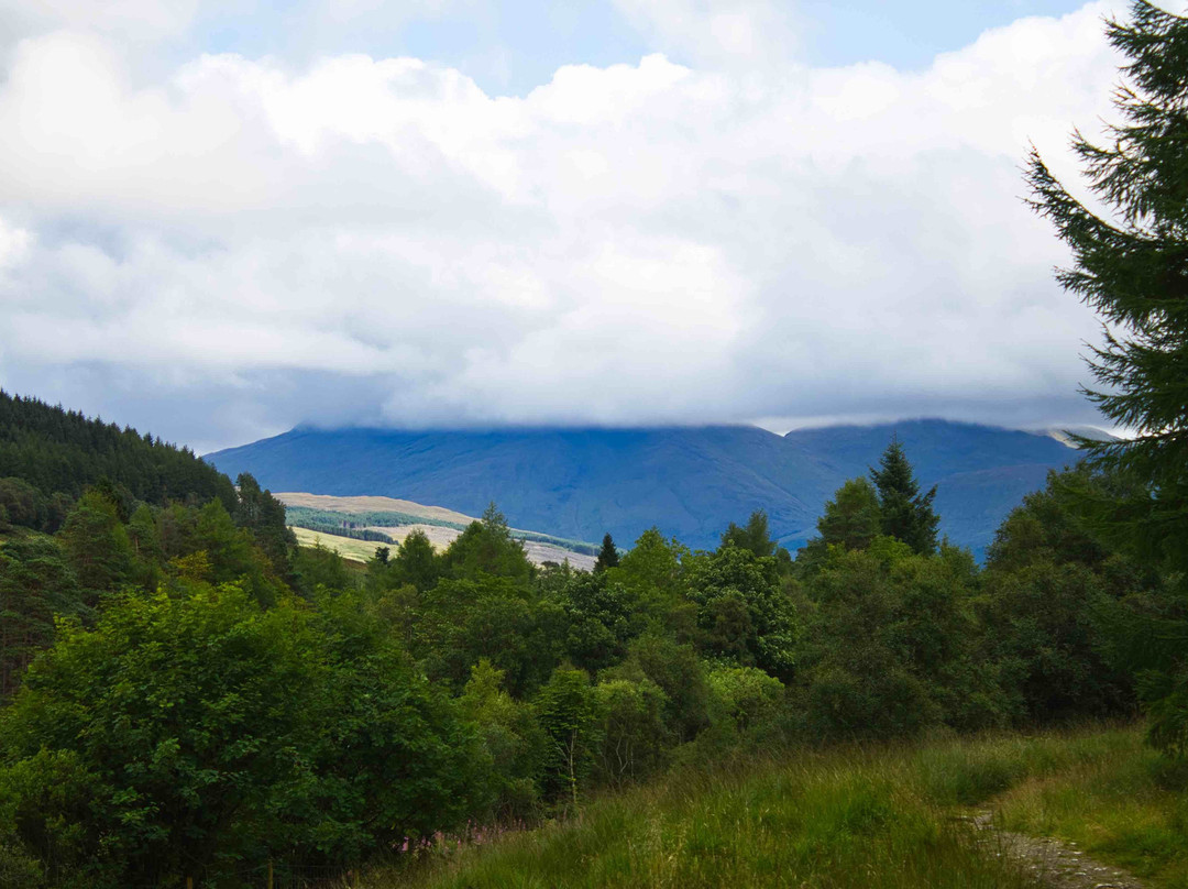 Tyndrum Community Woodland景点图片