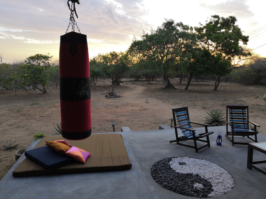 Yala Yin Yang Hostel