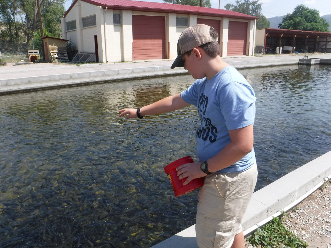 Mt. Shavano Fish Hatchery-萨利达必去景点