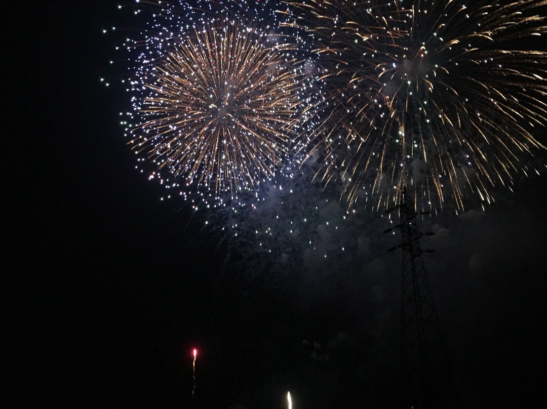Sakura City Fireworks-佐仓市必去景点