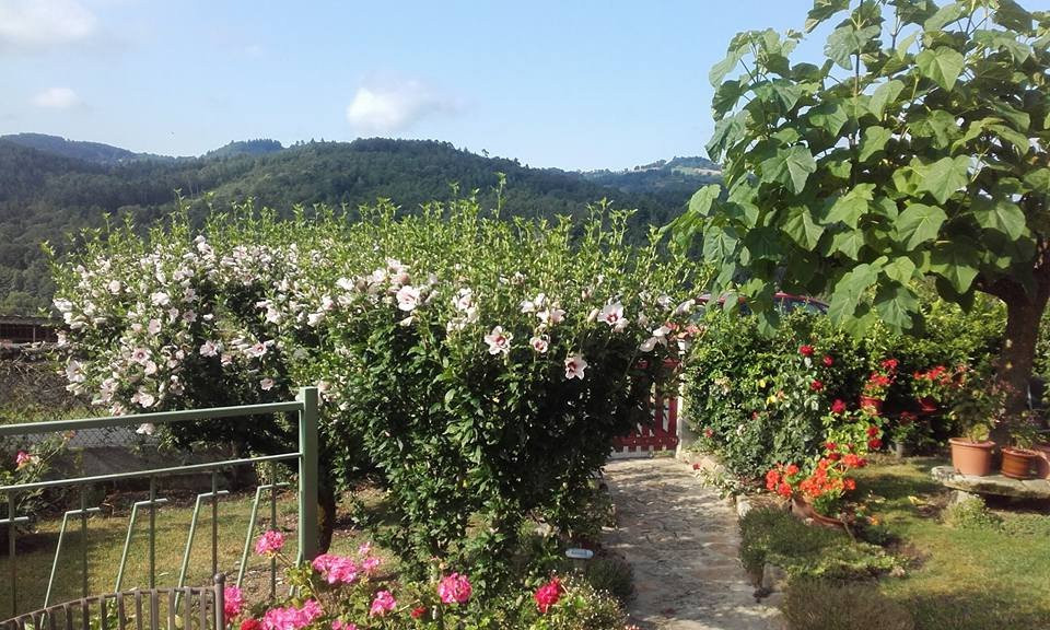 Au Bonheur des Hotes主图