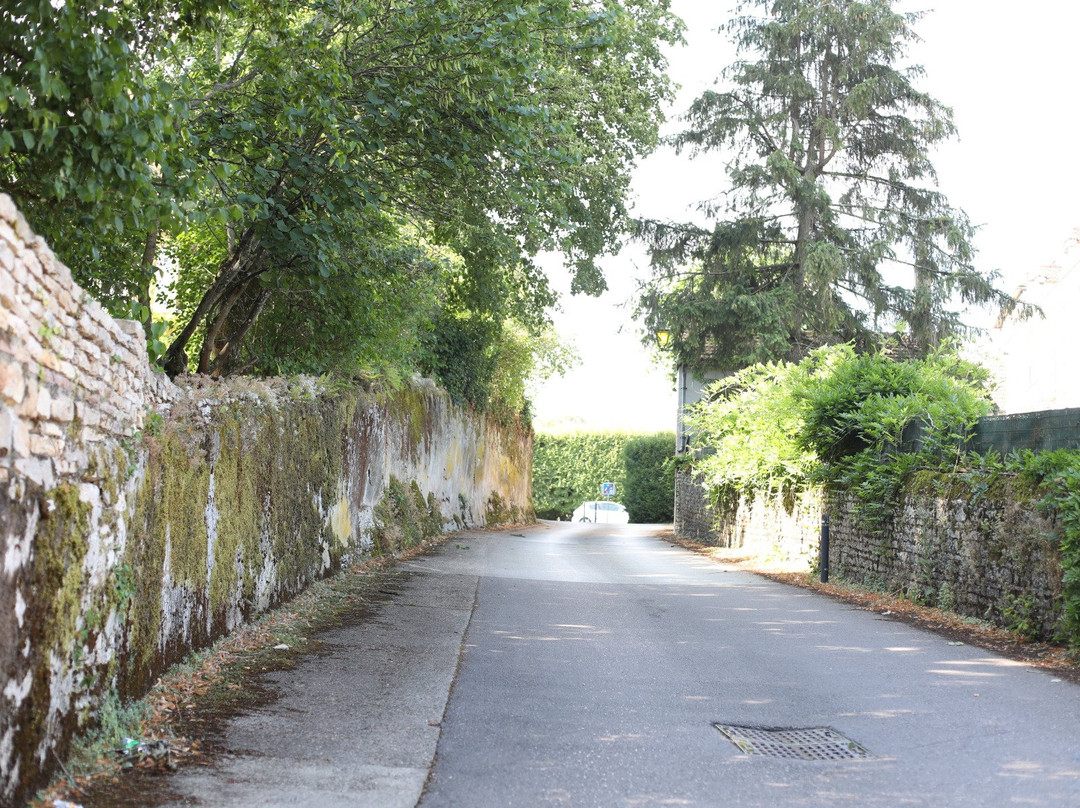 Dracy-le-Fort旅游攻略图片