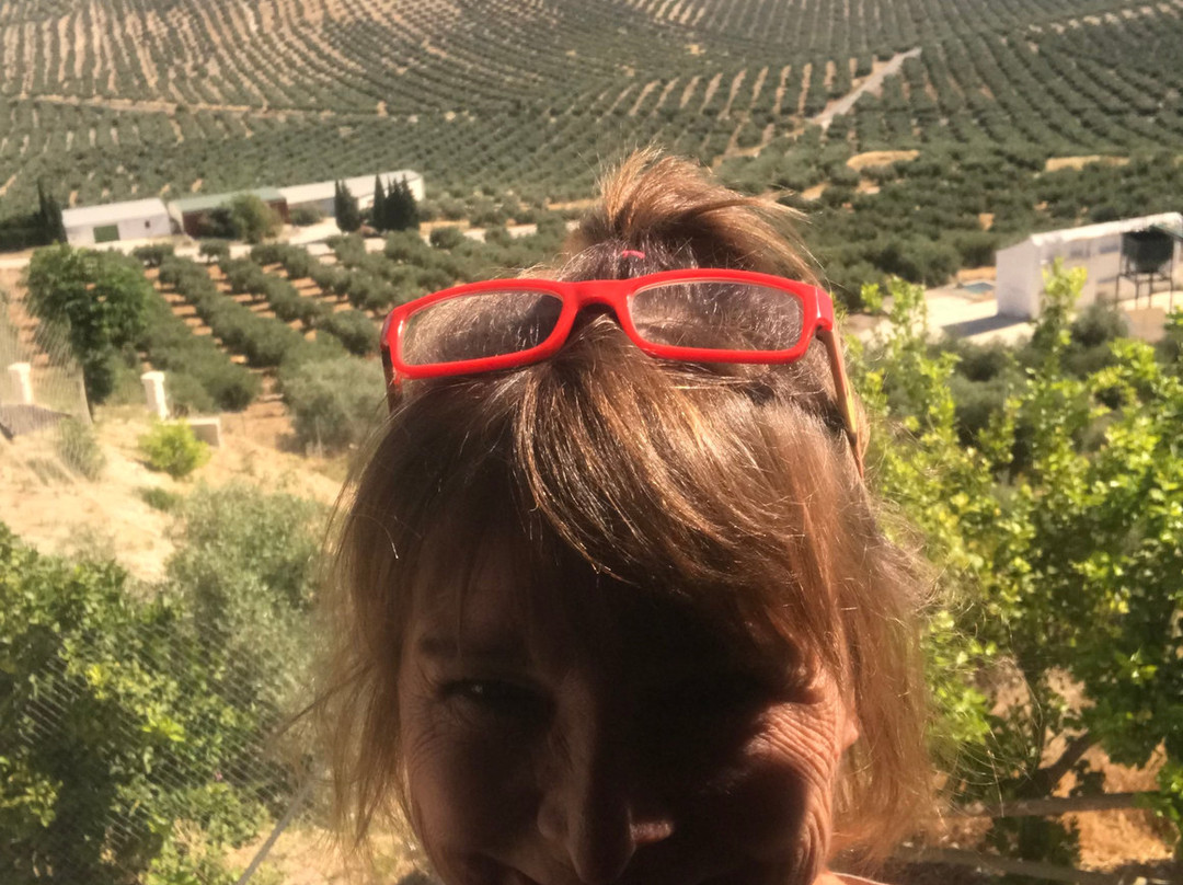 Castil de Campos旅游攻略图片