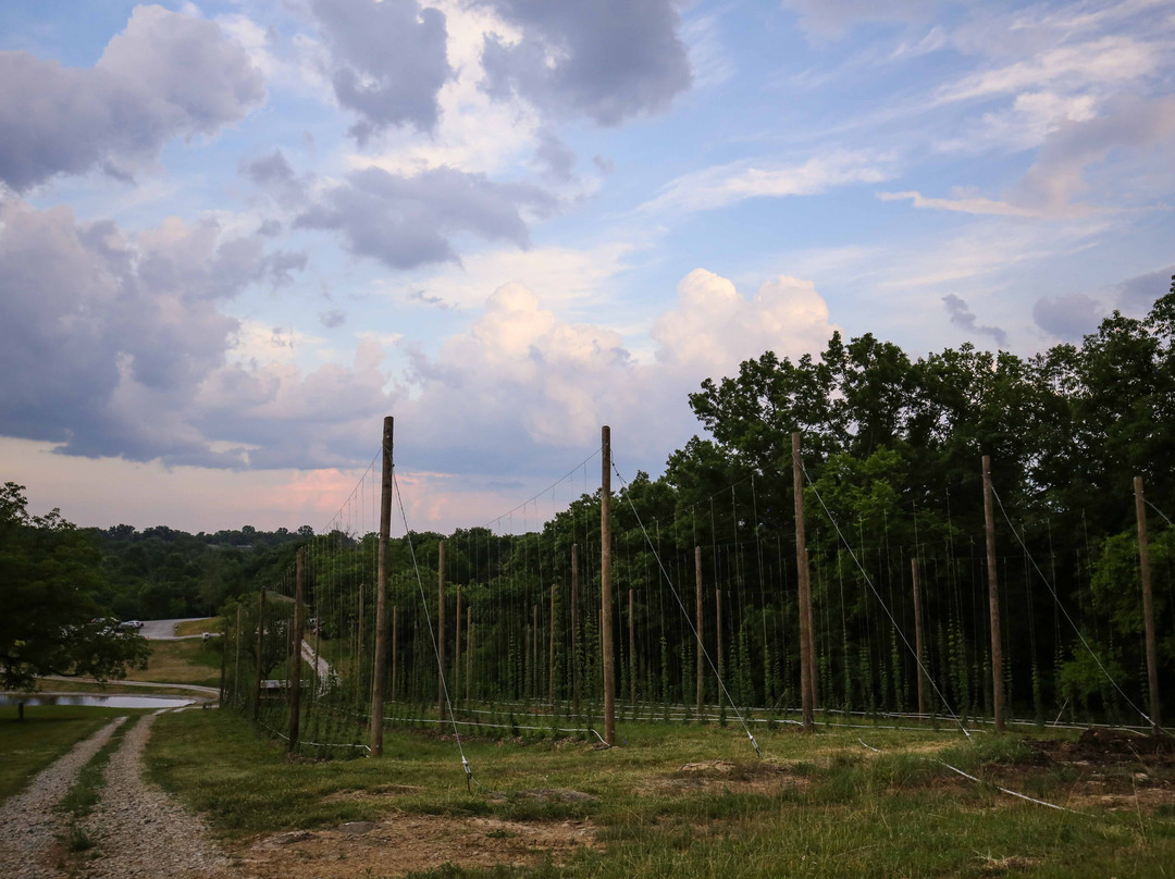 West Sixth Farm-法兰克福必去景点
