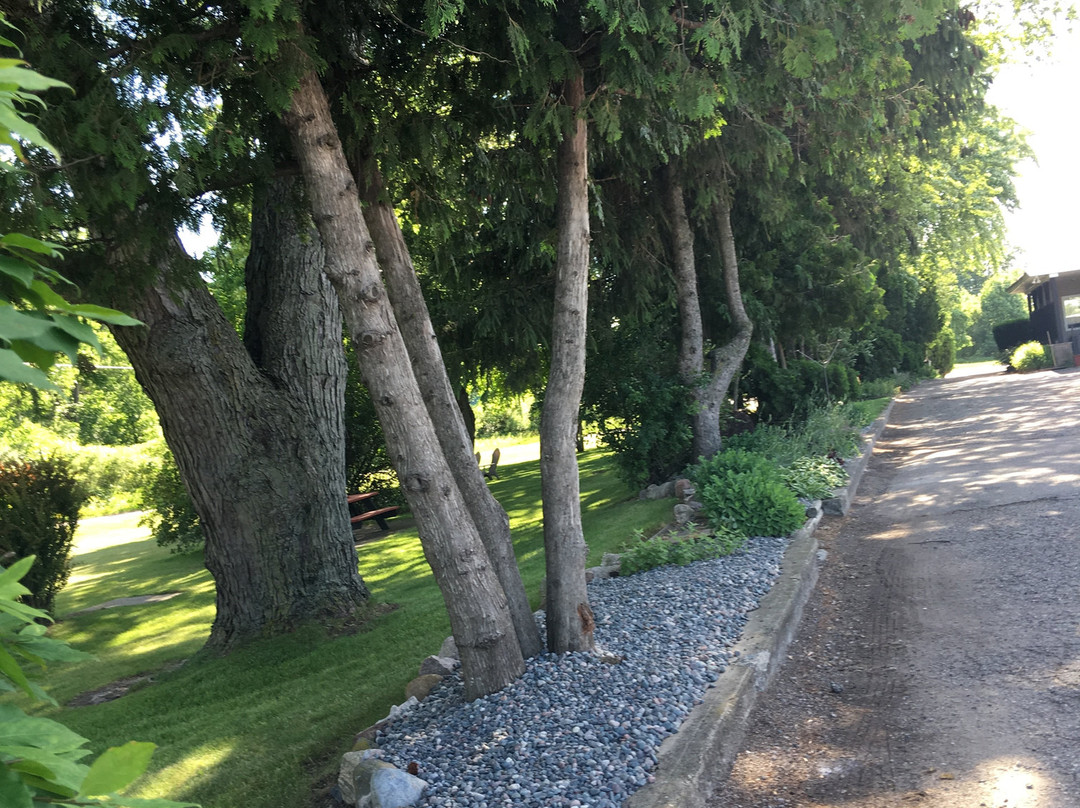 Triangle Motel主图