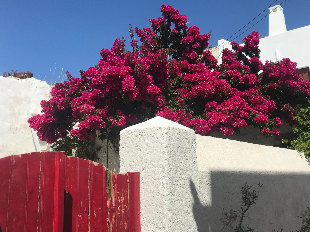 Catamaran Emelia-帕罗奇亚必去景点