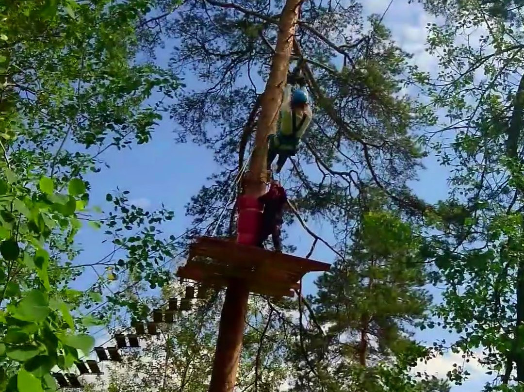 Tarzan's Way景点图片