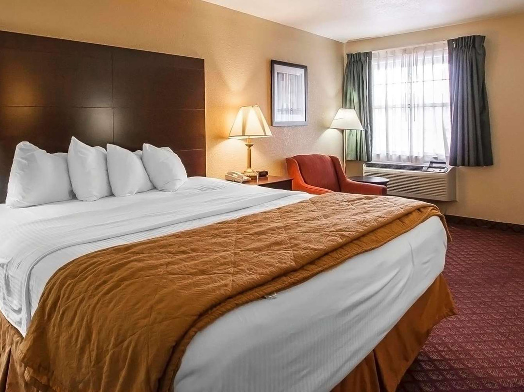 Quality Inn & Suites主图