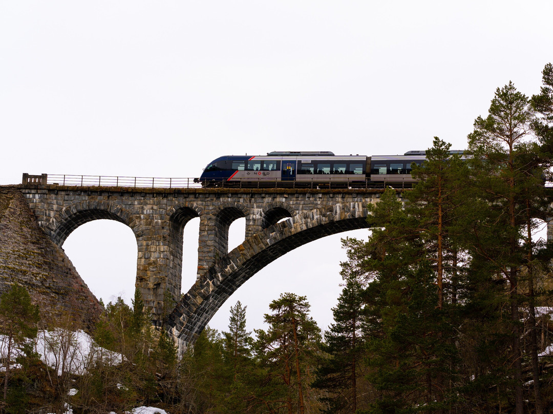 Norwegian Travel景点图片