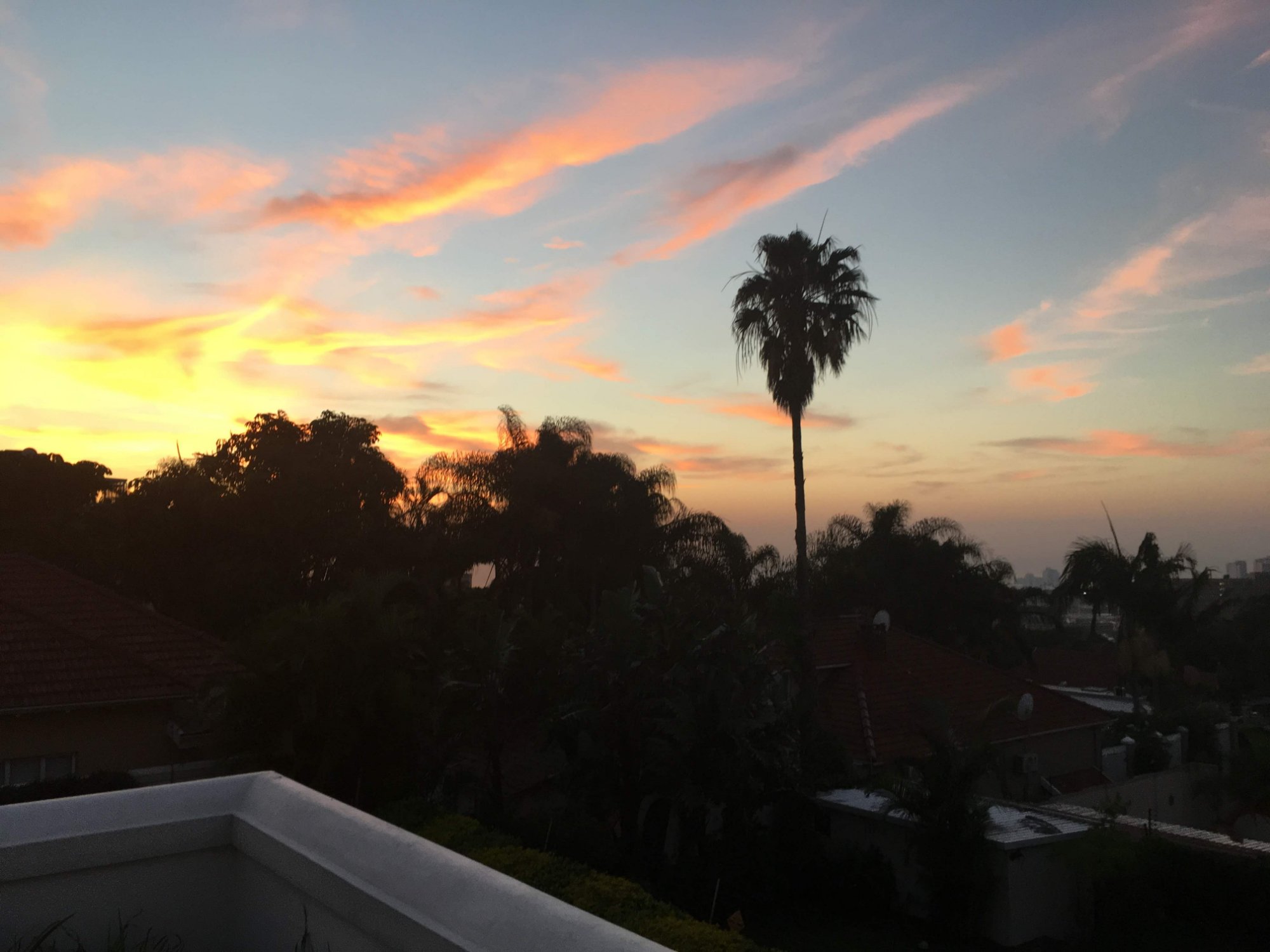 Holland House B&B Durban-酒店景观