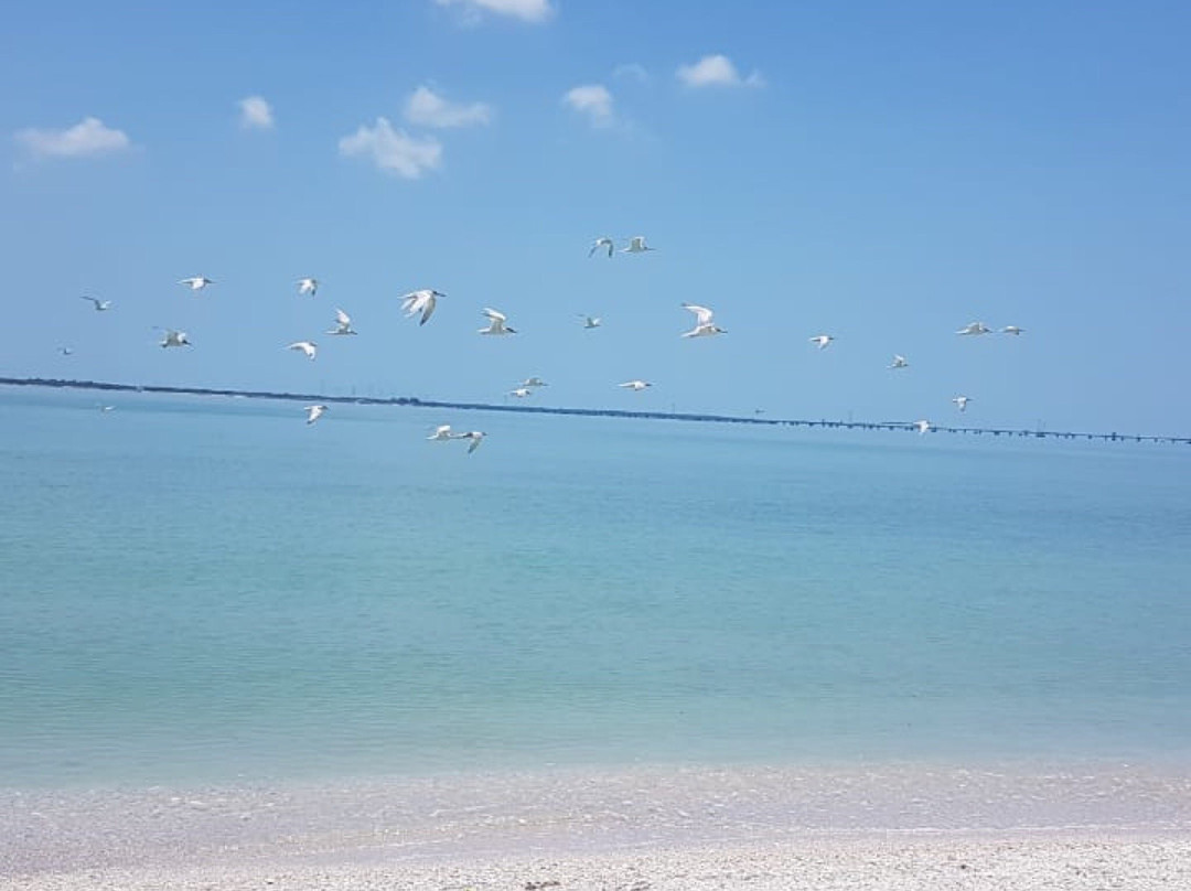 Agencia Palo de Tinte y Servicios-卡门城必去景点