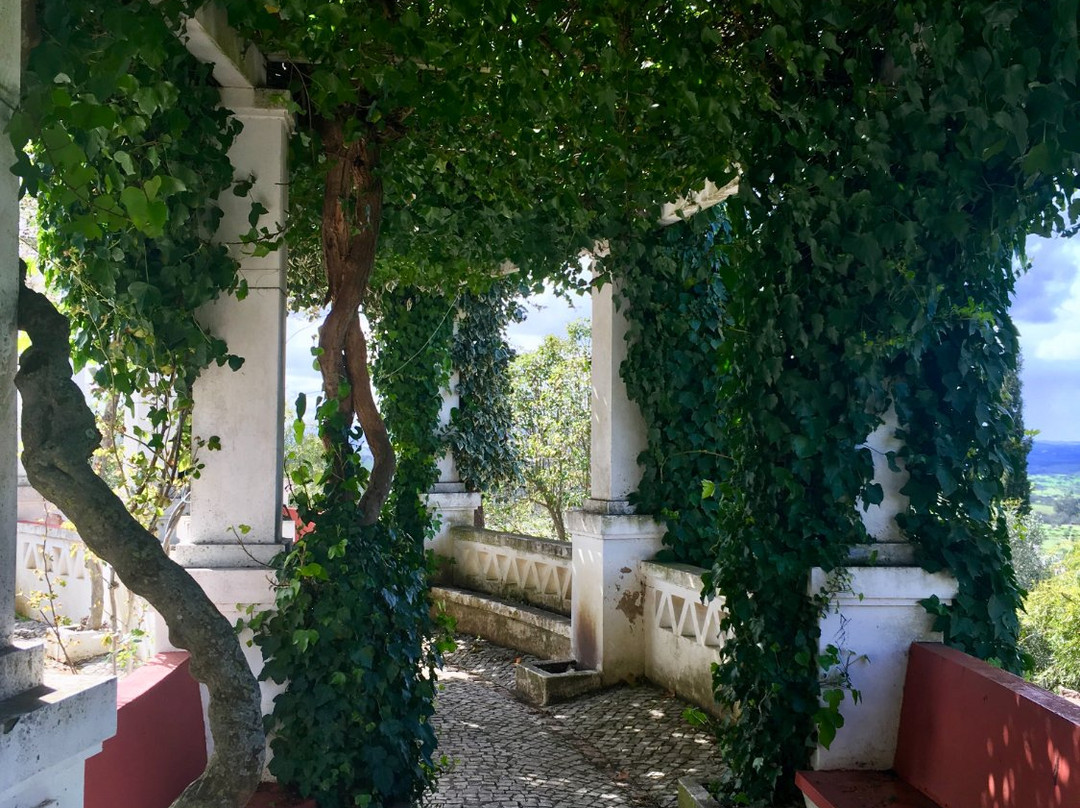 Miradouro Ramiro Sobral-Ourique必去景点